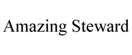AMAZING STEWARD trademark