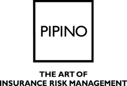PIPINO THE ART OF INSURANCE RISK MANAGEMENT trademark