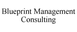 BLUEPRINT MANAGEMENT CONSULTING trademark