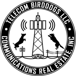 TELECOM BIRDDOGS LLC COMMUNICATIONS REAL ESTATE, INC trademark