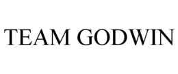 TEAM GODWIN trademark