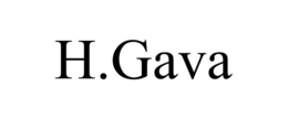 H.GAVA trademark
