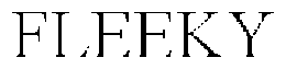 FLEEKY trademark