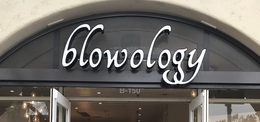 BLOWOLOGY trademark