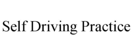SELF DRIVING PRACTICE trademark