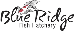 BLUE RIDGE FISH HATCHERY trademark