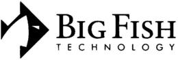 BIG FISH TECHNOLOGY trademark