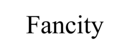 FANCITY trademark