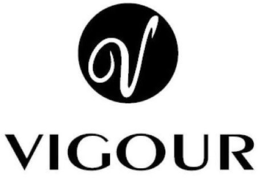 V VIGOUR trademark