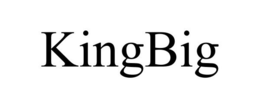 KINGBIG trademark
