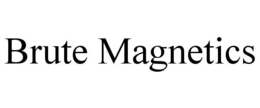BRUTE MAGNETICS trademark
