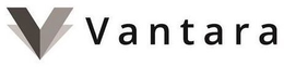 V VANTARA trademark