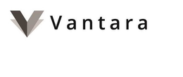 V VANTARA trademark