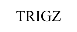 TRIGZ trademark