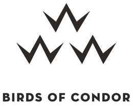BIRDS OF CONDOR trademark