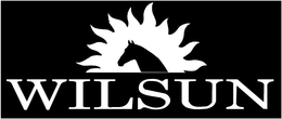 WILSUN trademark