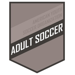 AMERICAN YOUTH SOCCER ORGANIZATION ADULT SOCCER trademark