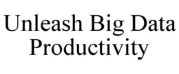 UNLEASH BIG DATA PRODUCTIVITY trademark