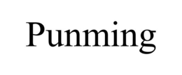 PUNMING trademark