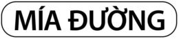 MÍA DUONG trademark