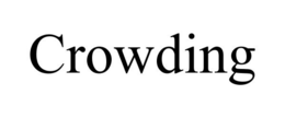 CROWDING trademark