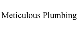 METICULOUS PLUMBING trademark