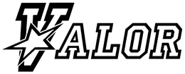 VALOR trademark