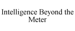 INTELLIGENCE BEYOND THE METER trademark