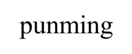 PUNMING trademark