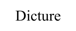 DICTURE trademark