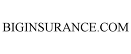BIGINSURANCE.COM trademark