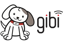 GIBI trademark