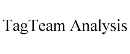 TAGTEAM ANALYSIS trademark