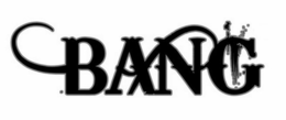 BANG trademark