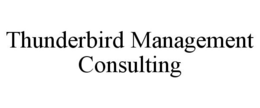 THUNDERBIRD MANAGEMENT CONSULTING trademark