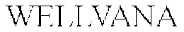 WELLVANA trademark
