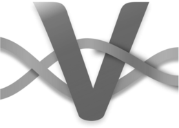 V trademark