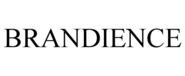 BRANDIENCE trademark