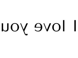 UOY EVOL I trademark