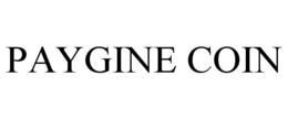 PAYGINE COIN trademark