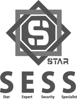 S STAR SESS STAR EXPERT SECURITY SPECIALIST trademark