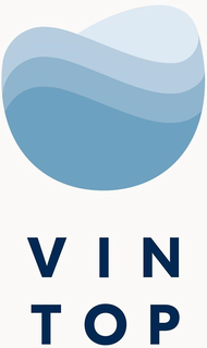 VIN TOP trademark