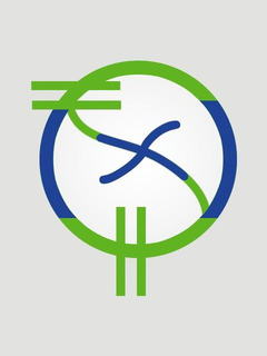 SX trademark