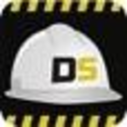 DS trademark