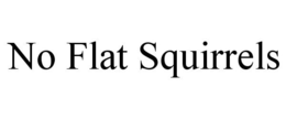 NO FLAT SQUIRRELS trademark