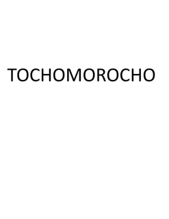 TOCHOMOROCHO trademark