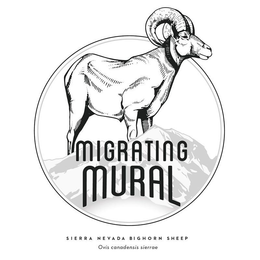 MIGRATING MURAL SIERRA NEVADA BIGHORN SHEEP OVIS CANADENSIS SIERRAE trademark