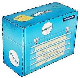 THE FOAM TOOLBOX TECHNICAL FOAMS MEDICAL FOAMS POLYURETHANE GELS BERGAD SPECIALTY FOAMS trademark
