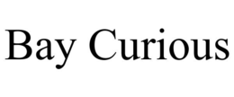 BAY CURIOUS trademark