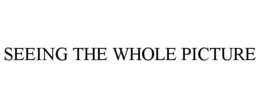 SEEING THE WHOLE PICTURE trademark